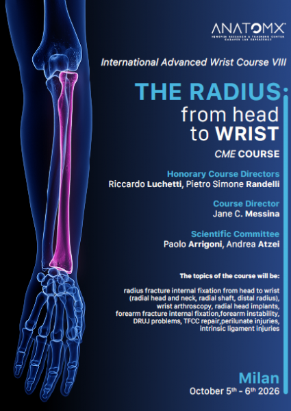 The radius: from head to wrist