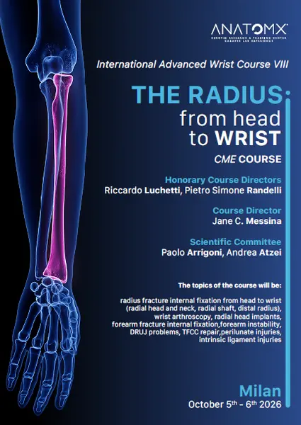 The radius: from head to wrist