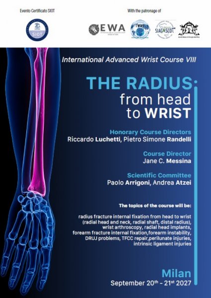 The radius: from head to wrist