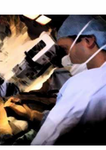 Bando e domanda di ammissione - Corso Avanzato Microchirurgia 2025