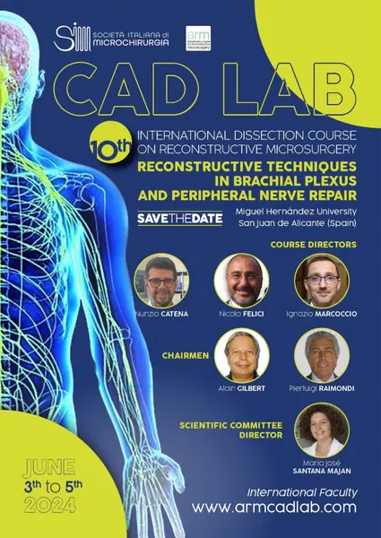 Reconstructive Techniques in Brachial Plexus and Peripheral Nerve Reconstruction