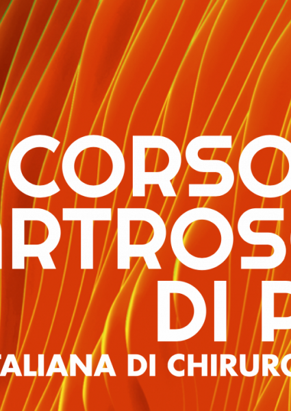 CORSO BASE DI ARTROSCOPIA DI POLSO  - SICM