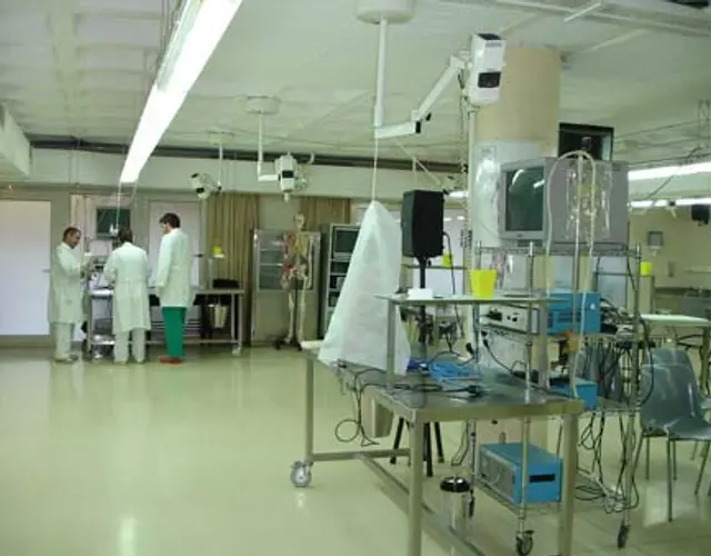 IMMAGINI DEL CORSO DI TECNICA CHIRURGICA DEL POLSO - Barcellona, 19-22 Aprile 2006