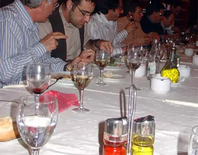 IMMAGINI DEL CORSO DI TECNICA CHIRURGICA DEL POLSO  Barcellona: 7 - 8 Maggio 2004