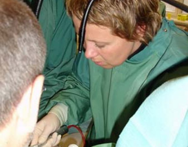 IMMAGINI DEL 2° WRIST SYMPOSIUM - Innsbruck, 22-24 febbraio 2006