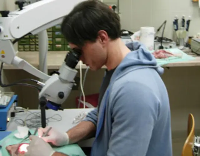 IMMAGINI DEL MASTER - Ancona, 28 Febbraio 2008