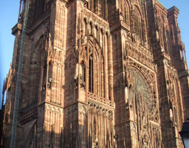 IMMAGINI DEL CORSO AVANZATO DI CHIRURGIA DEL POLSO - Strasburgo, 23 Febbraio 2008