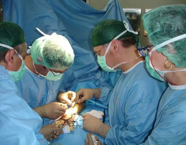 IMMAGINI DEL CORSO AVANZATO DI CHIRURGIA DEL POLSO - Verona, 19-22 Aprile 2006