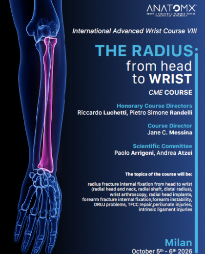 The radius: from head to wrist