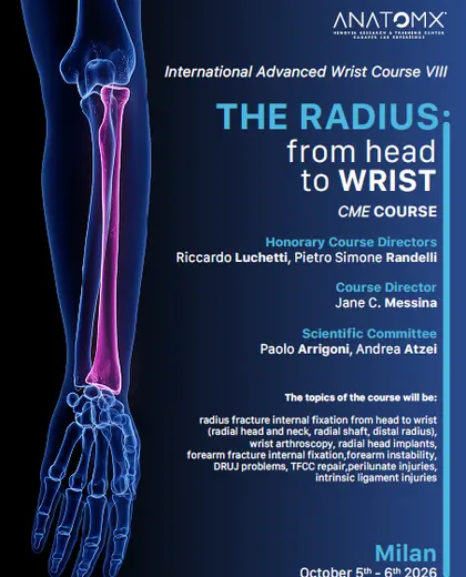 The radius: from head to wrist