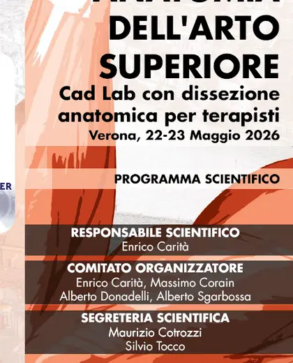 Fisioterapia e anatomia dell’arto superiore