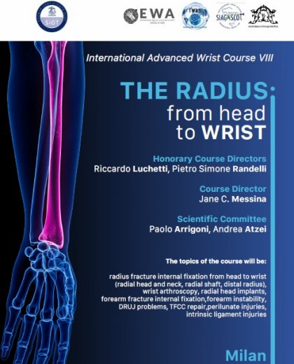 The radius: from head to wrist