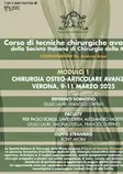 Modulo di chirurgia osteoarticolare avanzata